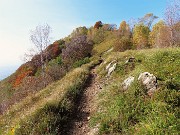 Alla Madonnina del Costone (1195 m) in veste autunnale da Salmezza-21ott24 - FOTOGALLERY